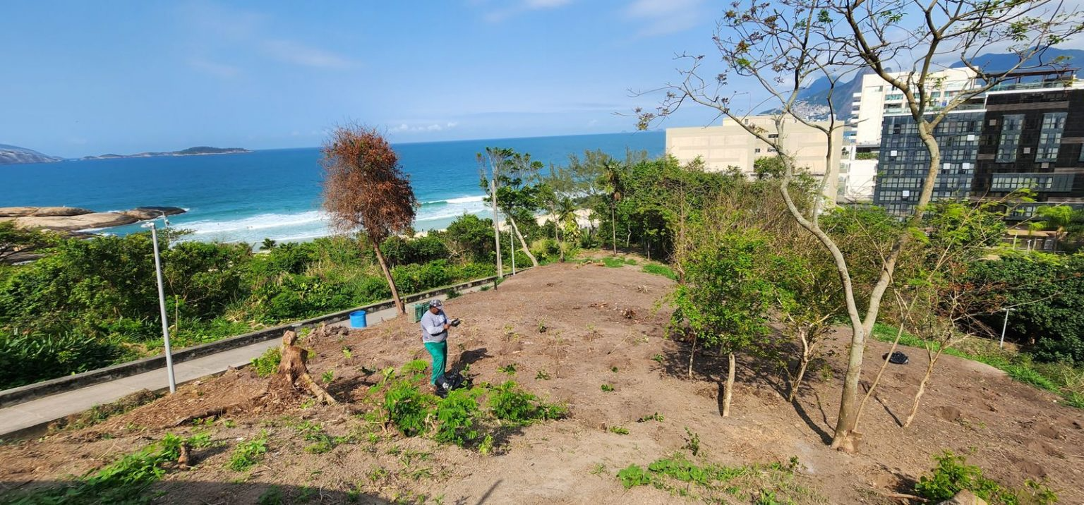 Parque Garota de Ipanema recebeu o plantio de 200 mudas Divulgação/Prefeitura do Rio