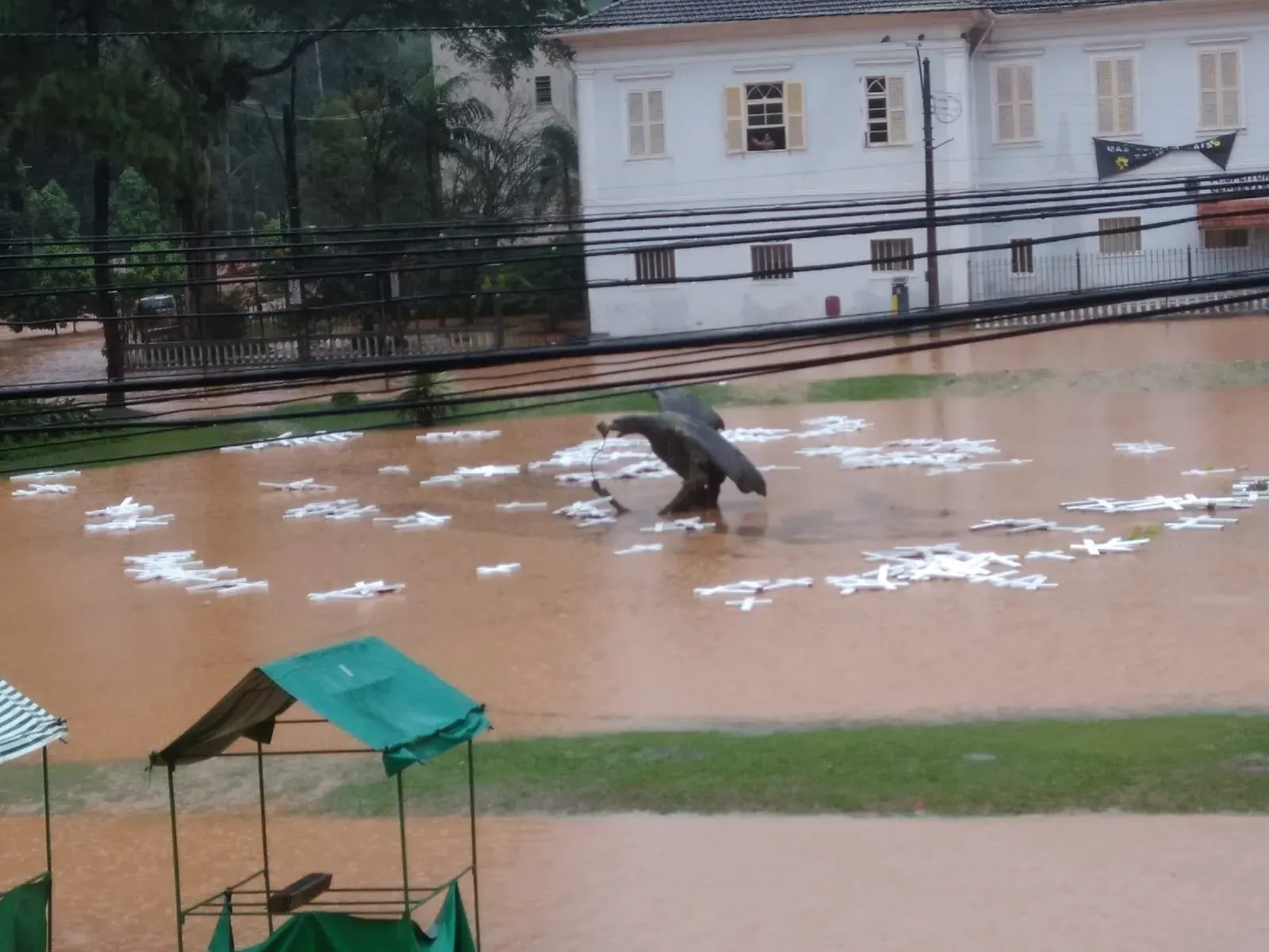 Chuvas deixam cinco mortos em Petrópolis nesse domingo