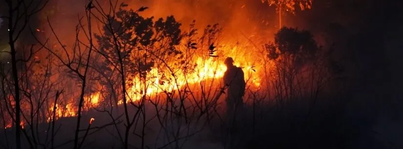 Caraguatatuba registra 37 casos de queimadas no primeiro semestre