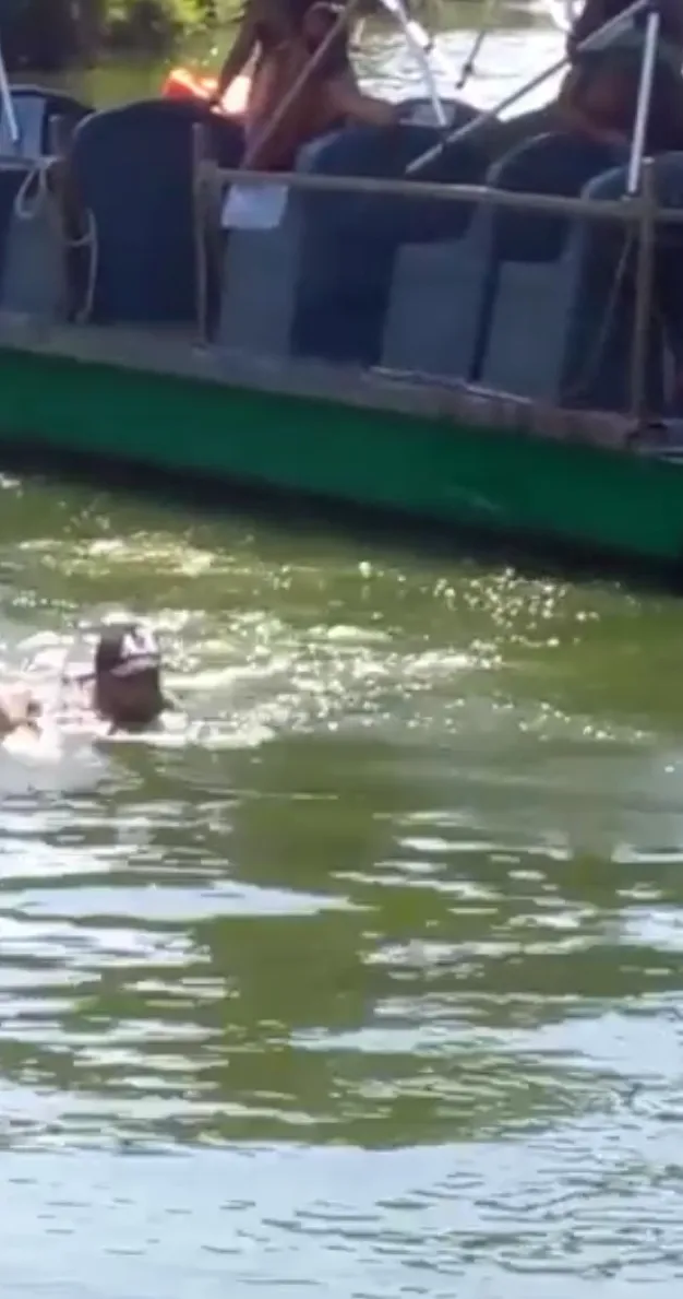 Barqueiro é jogado no lago após morador se recusar a colocar a máscara contra a Covid-19