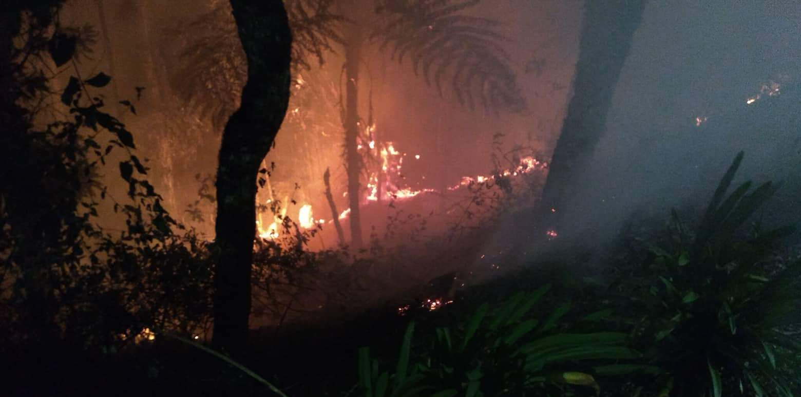 Fogo em vegetação no Alto do Capivari, em Campos do Jordão Reprodução/ Grupos de Whatsapp