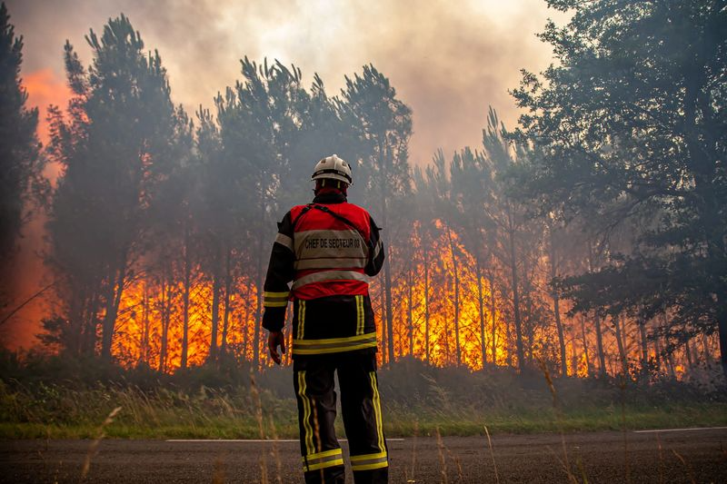 Calor extremo mata mil pessoas na Europa e incêndios florestais se espalham Foto: Reuters