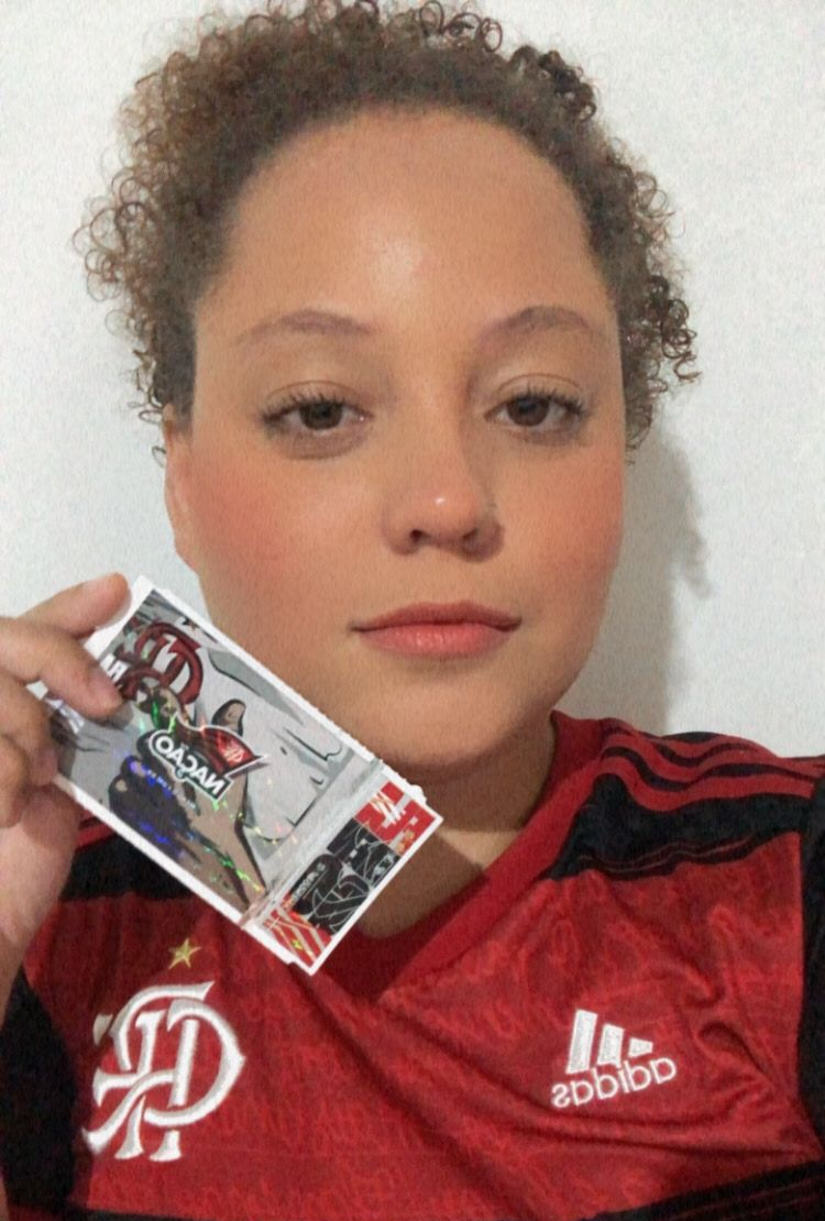 A torcedora Julia Amancio e seu ingresso recuperado Reprodução/Redes Sociais