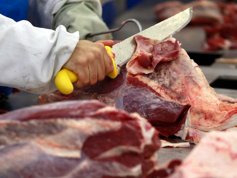 Ministério Público investiga venda ilegal de carne de cavalo em Caxias do Sul