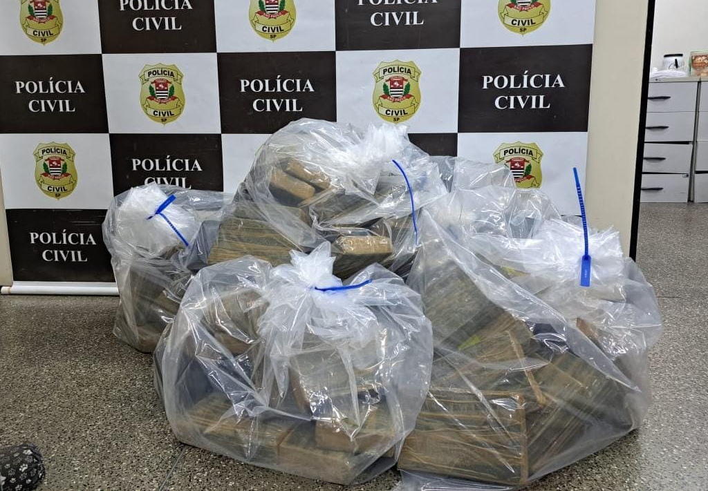 O caso ainda é investigado pela Polícia Civil Divulgação/ Polícia Civil