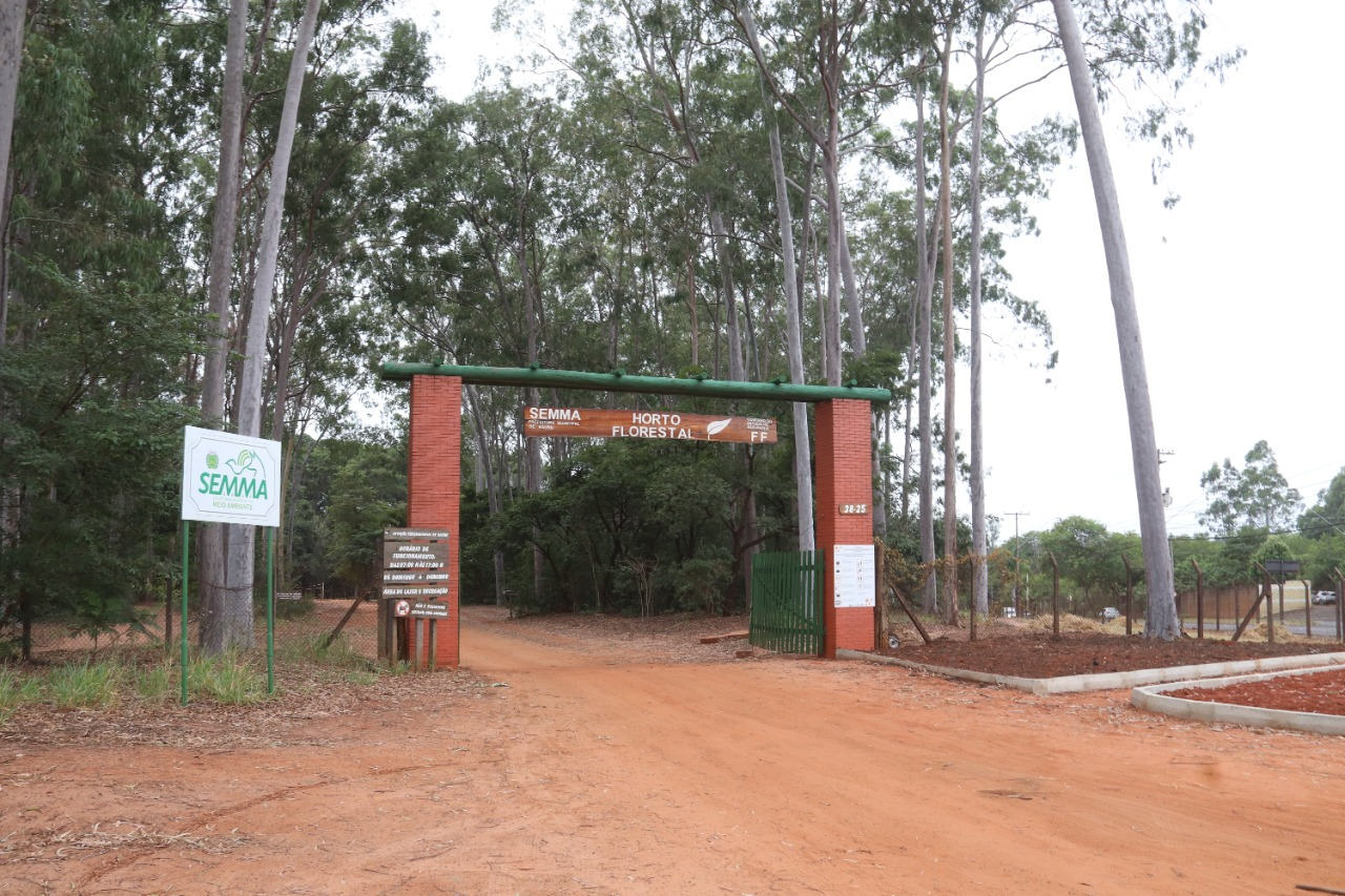 Horto Florestal de Bauru anuncia curso de férias pela primeira vez Foto: Prefeitura de Bauru