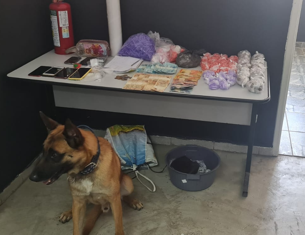 Cão policial flecha ajudou a polícia encontrar a casa onde as drogas estavam escondidas. Reprodução/GAE