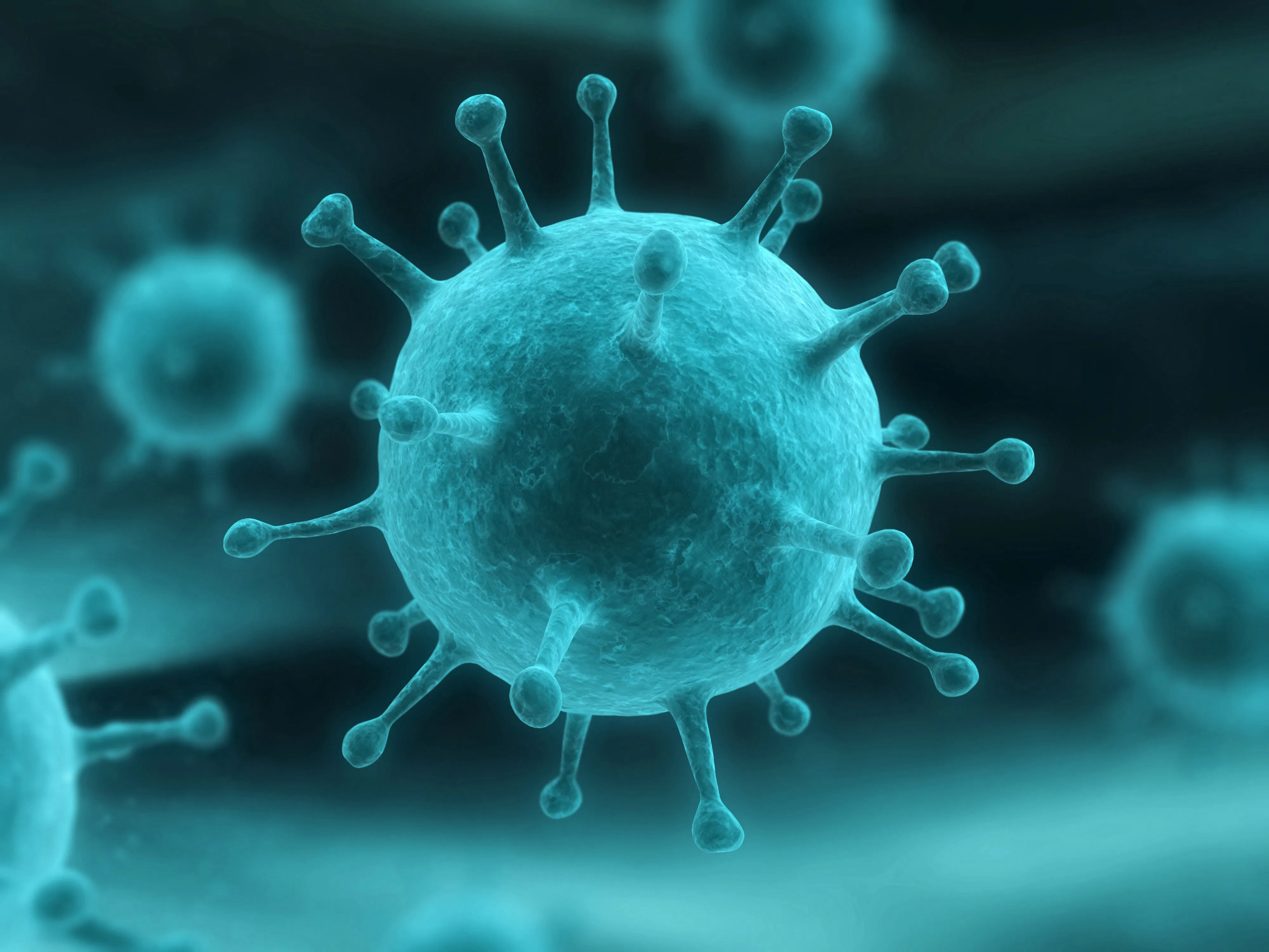 Vinhedo registra primeira morte por gripe em 2024