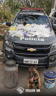 Foram apreendidos 6kg de cocaína, 3kg de maconha, uma porção de crack Reprodução