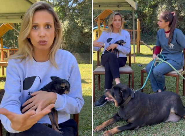 Luisa Mell com os cachorros resgatados da casa abandonada no bairro de Higienópolis  Reprodução/Instagram