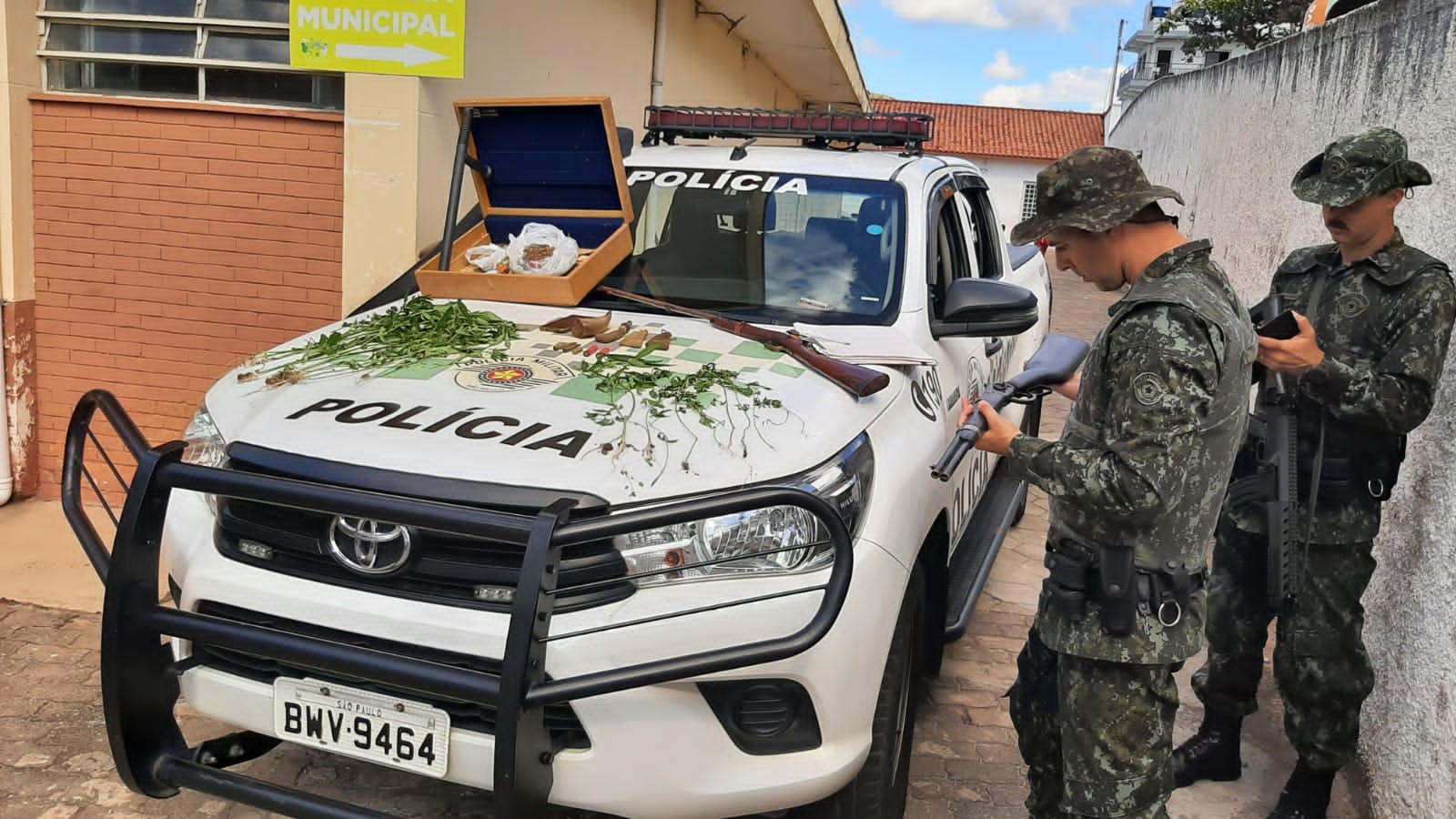 Polícia Ambiental apreende 35 pés de maconha em Cunha