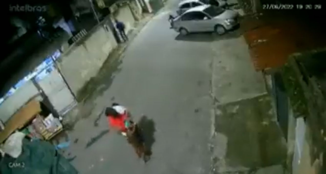 Vídeo mostra criança sendo atacada por pitbull