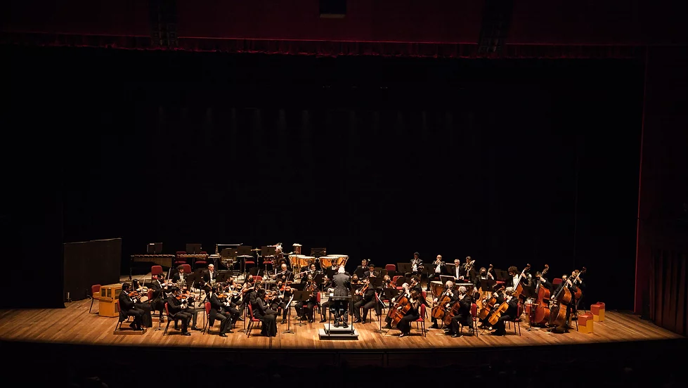Orquestra Sinfônica Brasileira promove experiência com deficientes auditivos