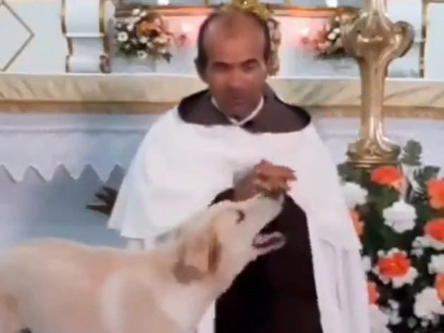 Cachorro brinca com padre durante a missa Reprodução Twitter @@rolealeatorio