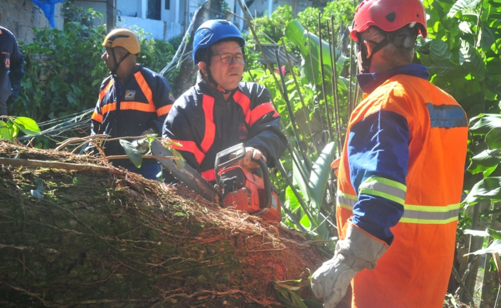 Fortes ventos causam queda de árvore e energia em cidades do Vale do Paraíba Luis Gava /PMC