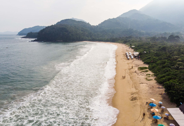 Tubarões estão próximos de áreas de banho em Ubatuba Prefeitura Municipal de Ubatuba