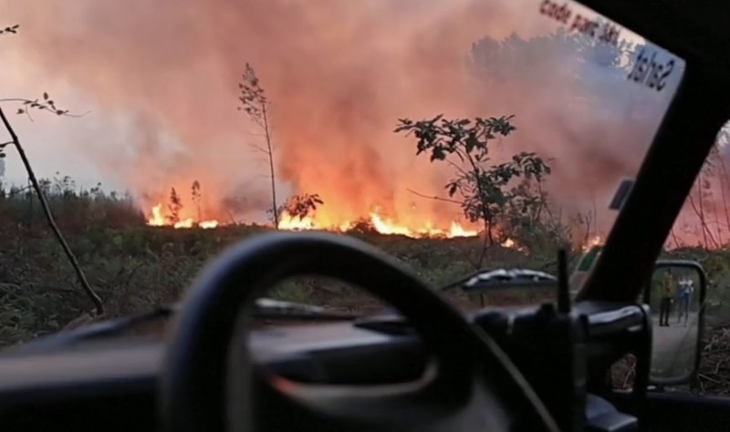 Inglaterra declara emergência nacional devido ao forte calor Reprodução