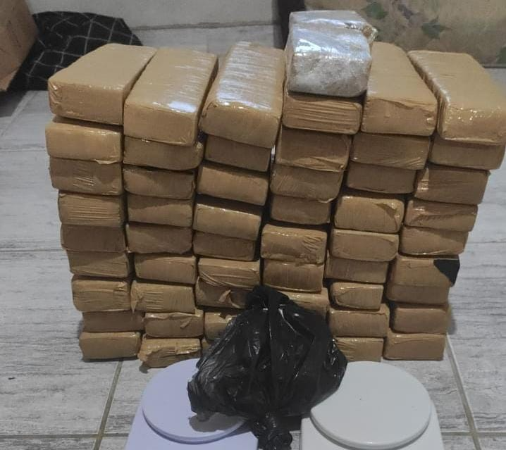 Foram encontrados 54 tijolos de maconha Divulgação/Polícia Militar