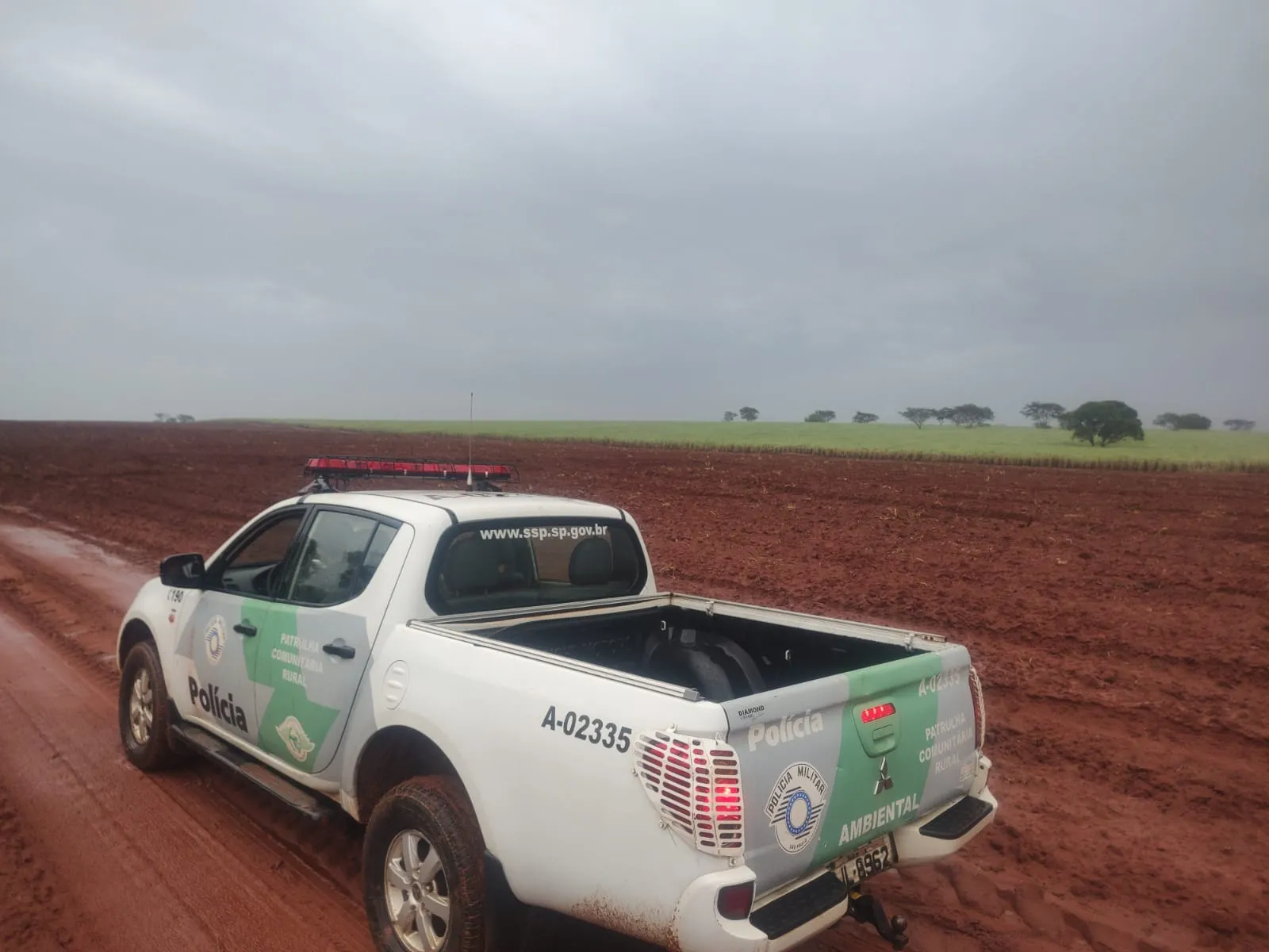 A empresa recebeu um Auto de Infração Ambiental