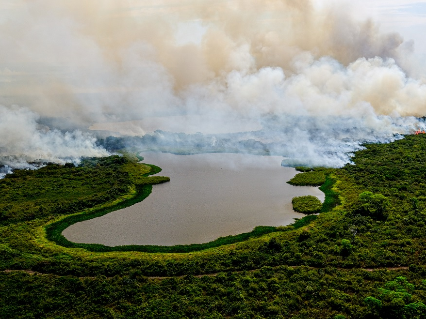 Pantanal foi atingido por incêndios devastadores em 2020 Agência Brasil