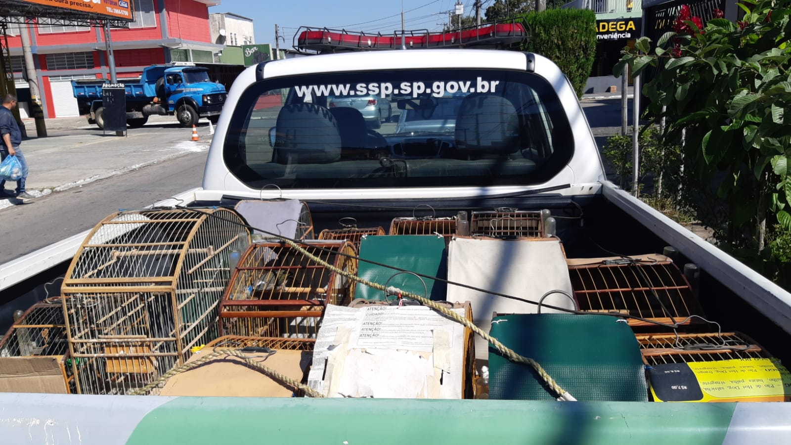 Polícia Ambiental apreende aves silvestres em residência de São José dos Campos