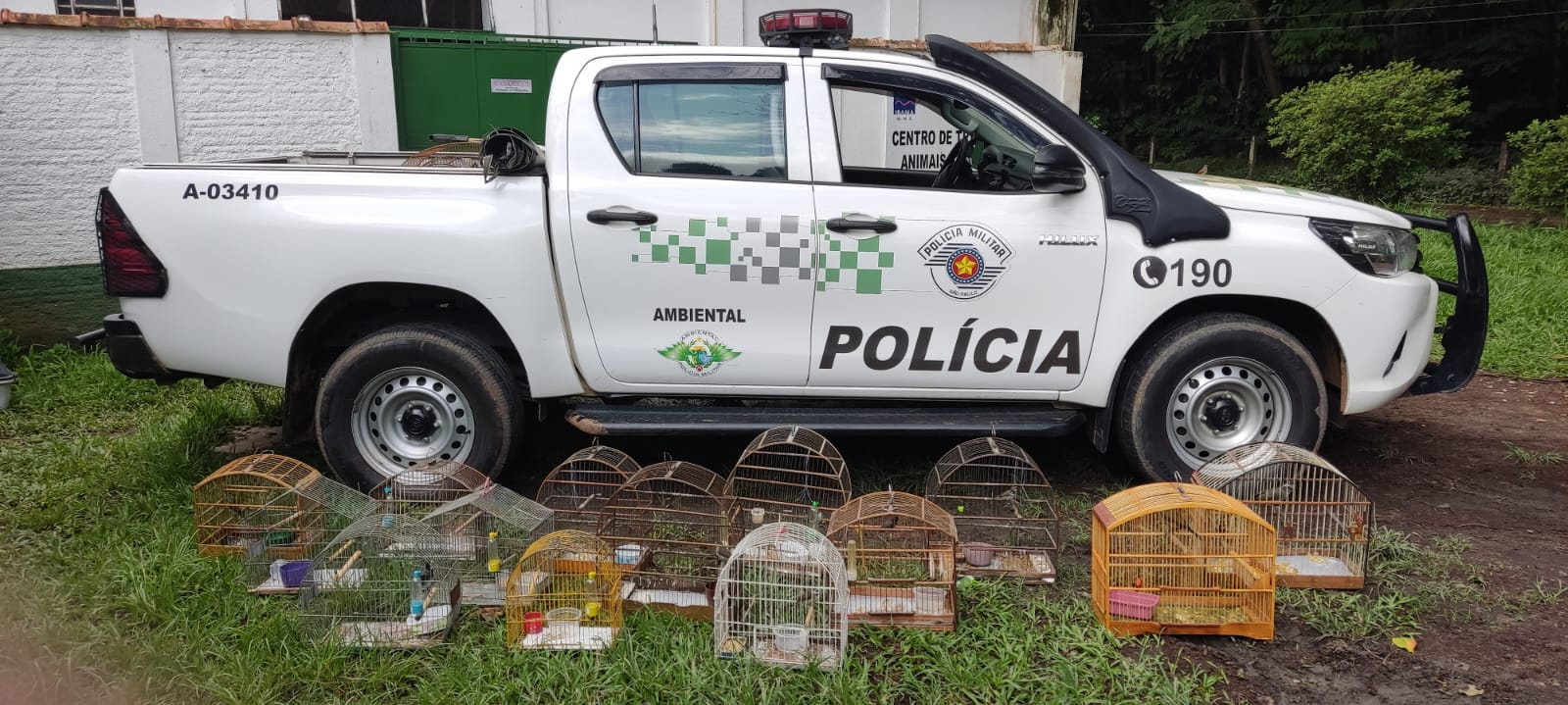 Polícia Ambiental apreende 20 aves em residências de Potim Reprodução/ PM