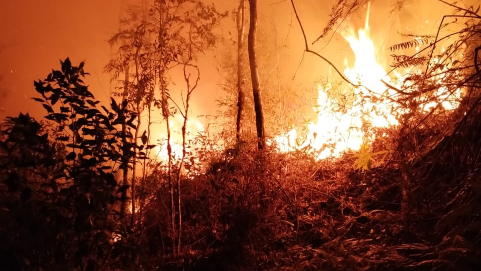 Incêndio mobilizou um grupo de 16 pessoas entre Corpo de Bombeiros, Defesa Civil e outros Divulgação/ Defesa Civil