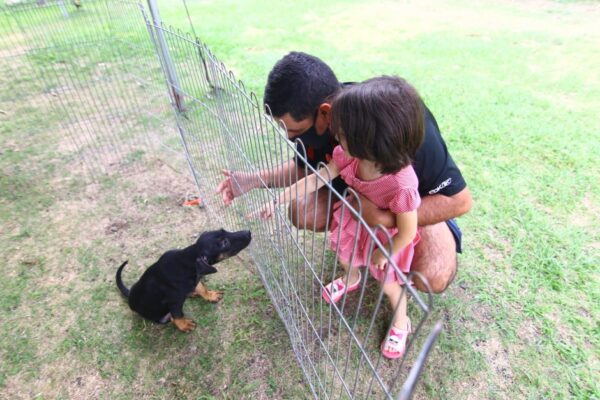 Prefeitura realiza Feira de Adoção de Cães no Centro de São Sebastião Claudio Vieira/PMSJC