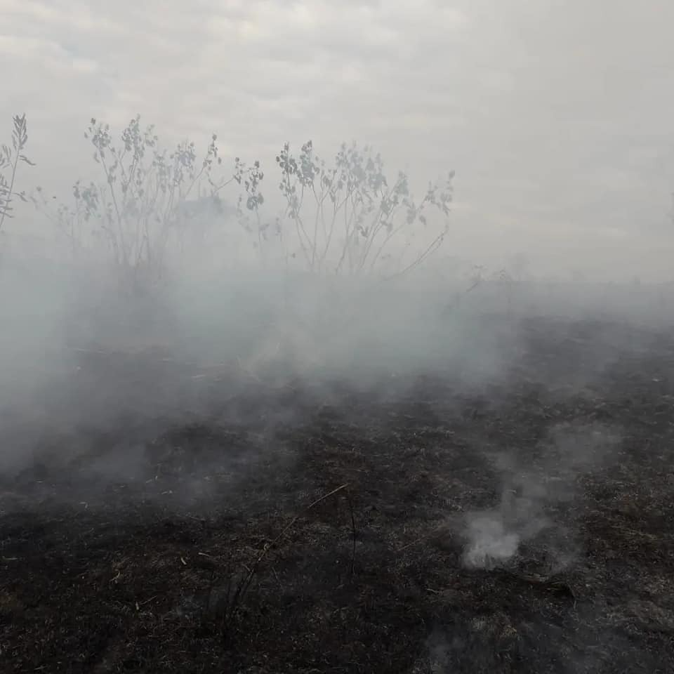 Incêndio foi controlado e o local deixado em segurança Reprodução/ Defesa Civil