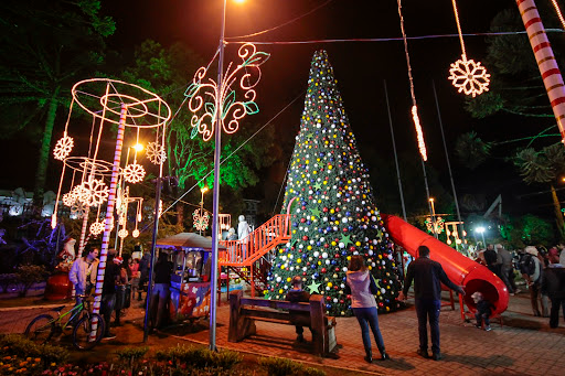 Natal Iluminado é promessa de retomada econômica em Campos  Divulgação/Prefeitura de Campos do Jordão 