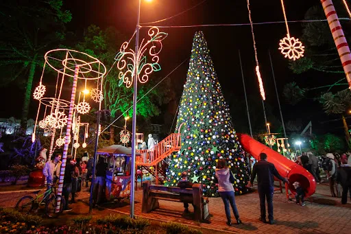 Natal Iluminado é promessa de retomada econômica em Campos 