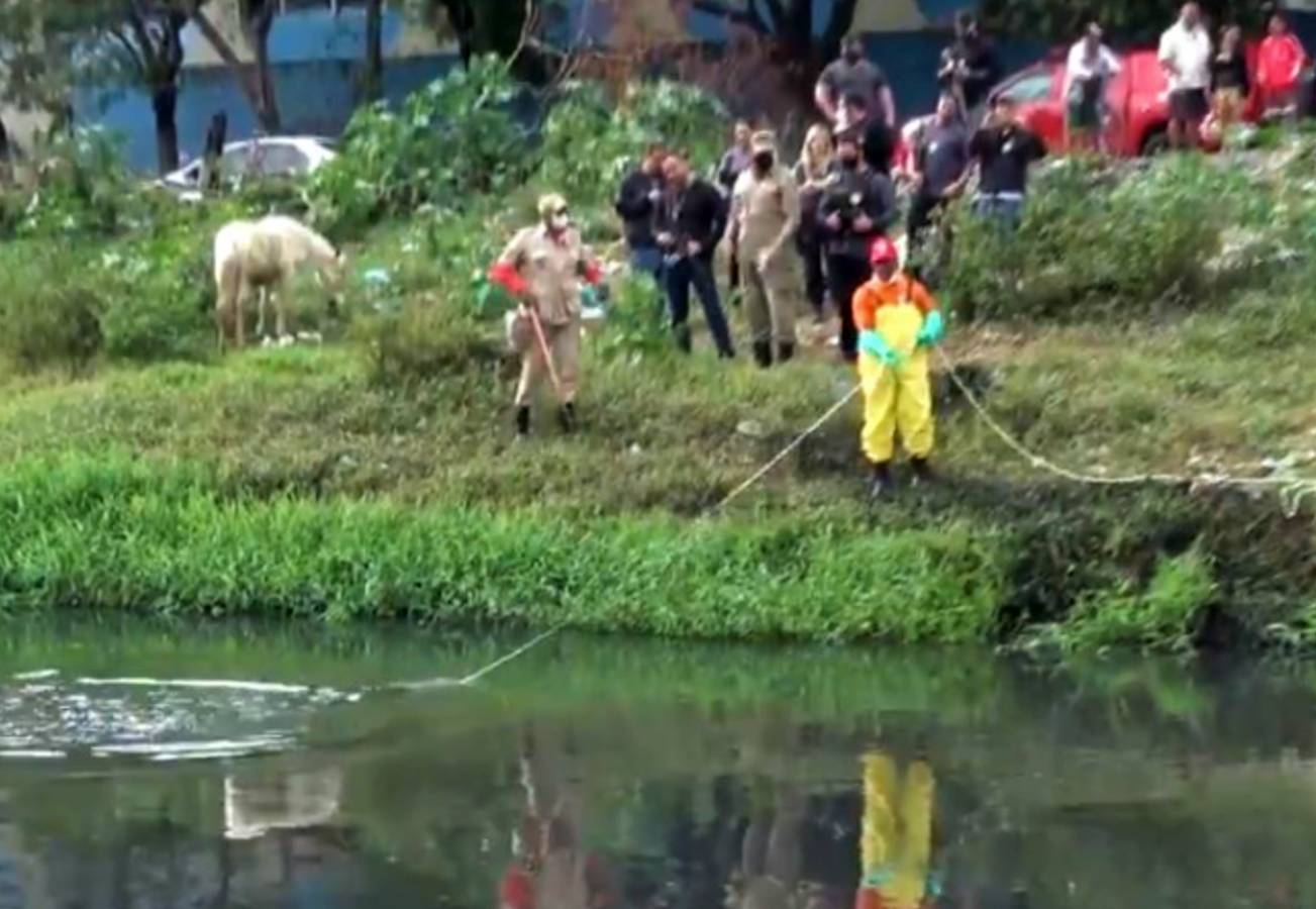 Polícia descarta que ossada achada em rio seja de meninos desaparecidos em Belford Roxo