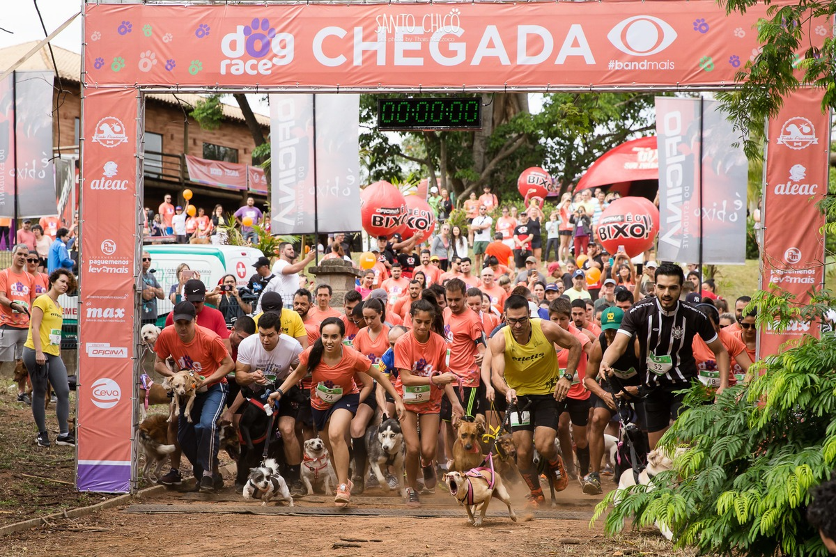 Caminhada e corrida Dog Race Campinas realizada em 2019. Santo Chico / Thais Mazzoco