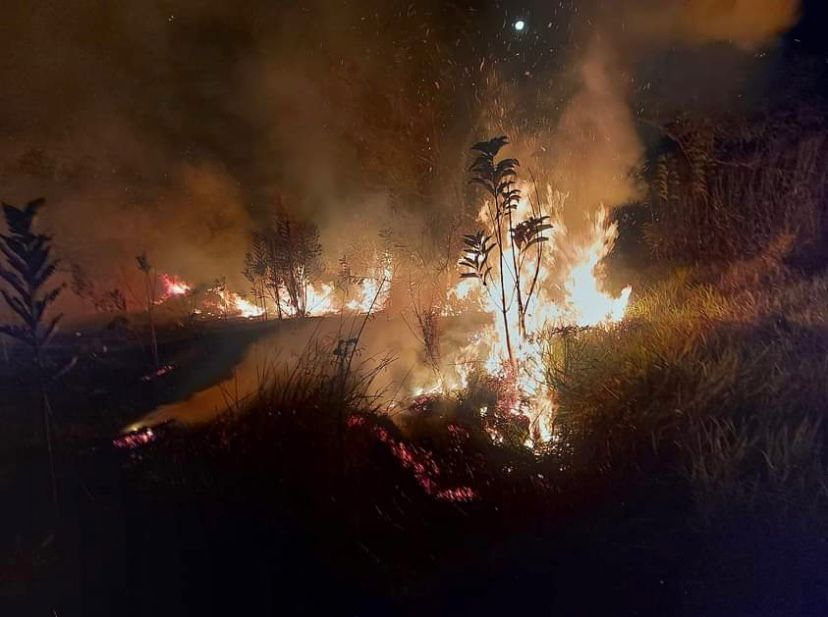 Incêndio de grande proporção leva aproximadamente 10 horas para ser contido  Defesa Civil de Roseira