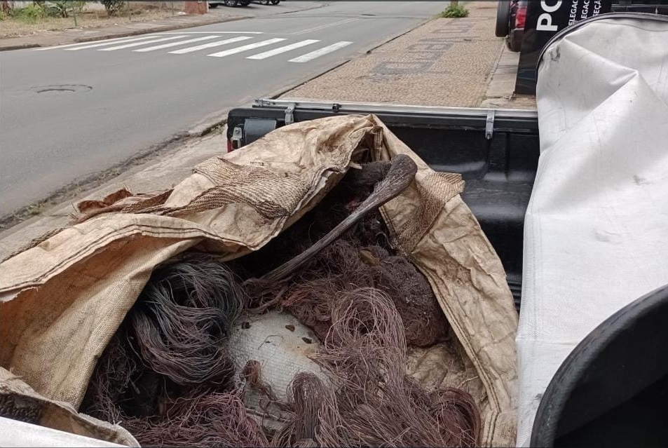 O homem não soube informar a procedência do material Divulgação 