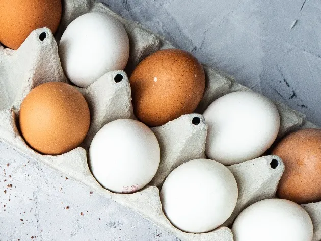Saiba identificar as diferenças entre os tipos de ovos 