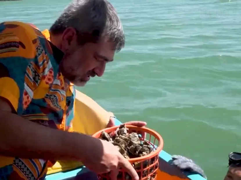 Zeca Camargo experimentou ostras frescas em Galinhos, no Rio Grande do Norte