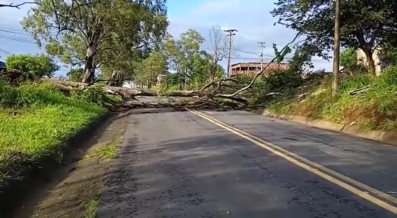 Queda interditou totalmente a via Foto/Paulo Bernardino 