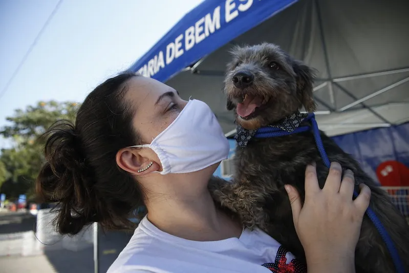 400 mil animais, entre cães e gatos, foram vacinados durante a campanha Divulgação/Prefeitura Rio