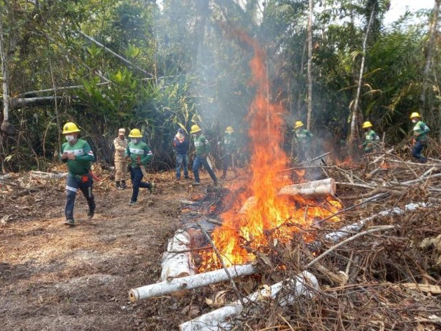 O número de focos de incêndios é o maior desde 1998 Foto: Divulgação/Sema e Girlene Medeiros/FVS-RCP