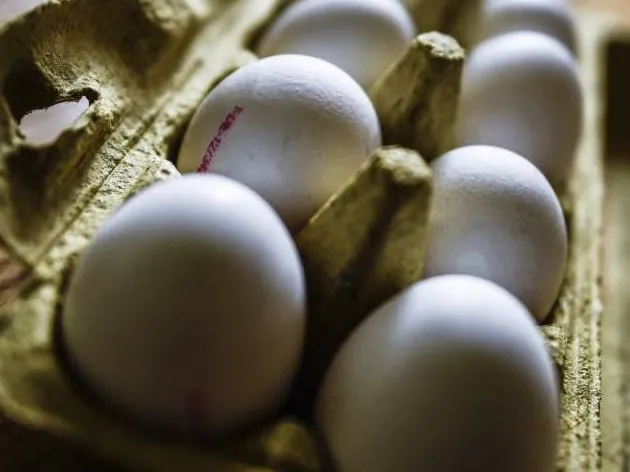 Cerca de 50% dos brasileiros afirmam que passaram a consumir mais ovos 