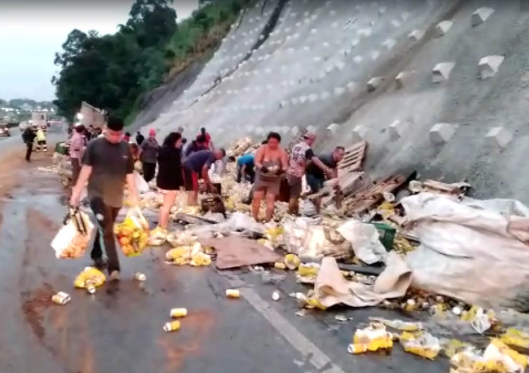 Caminhão carregado com cerveja tomba na Fernão Dias e carga é saqueada Reprodução