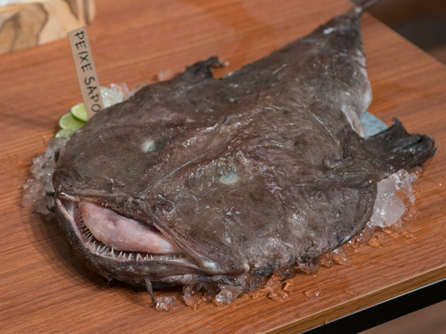 Peixe-sapo é ingrediente em leilão no MasterChef Carlos Reinis/Band