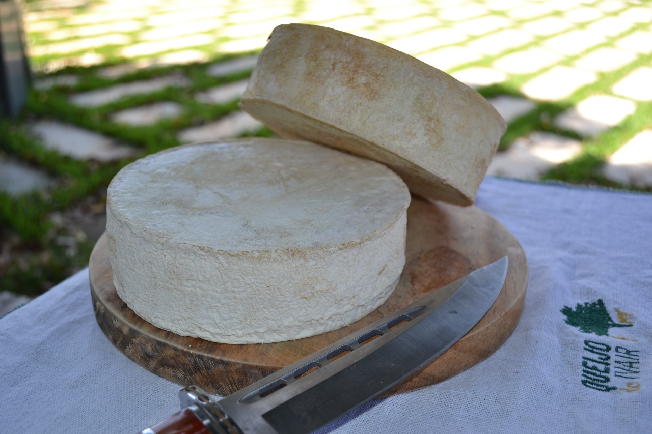 O queijo canastra é patrimônio cultural e imaterial brasileiro, tombado pelo Iphan