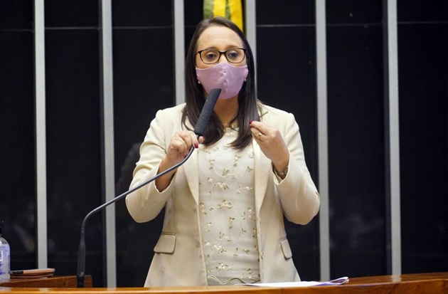 Renata Abreu é relatora da comissão especial da reforma política na Câmara Pablo Valadares/Câmara dos Deputados