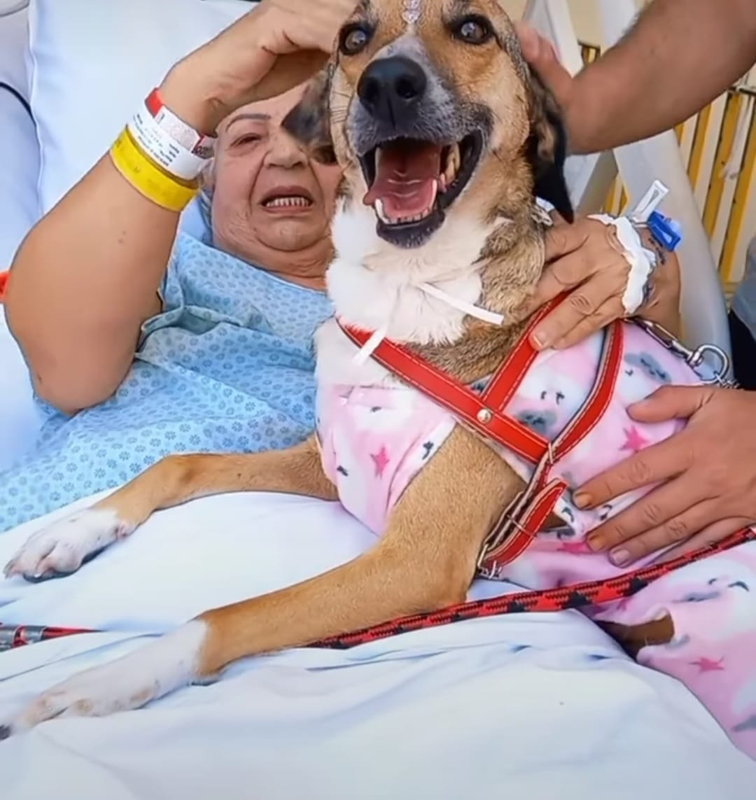 Paciente recebe visita da cachorrinha na Santa Casa de Sorocaba