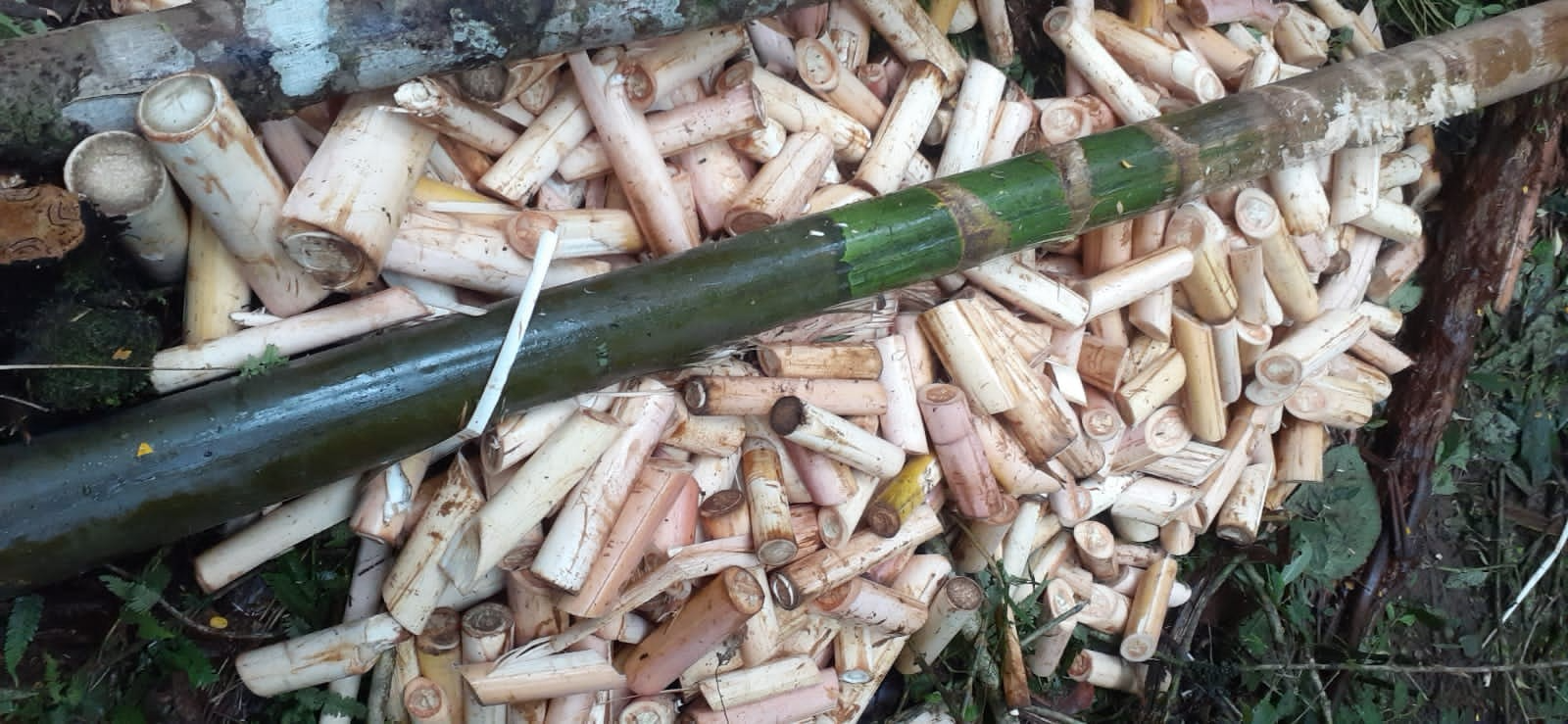 Material apreendido foi destruído pela polícia Divulgação / Polícia Militar Ambiental