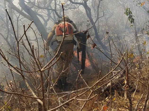 Após 5 dias, parte do incêndio no Parque das Emas é controlado Corpo do Bombeiros de Goiás