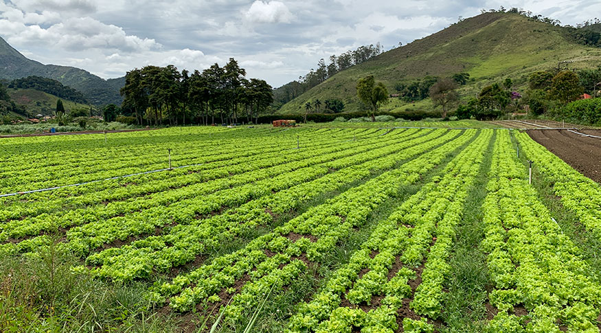 Mais de 30% do território brasileiro apresenta elevado potencial natural dos solos Licia Rubinstein/Agência IBGE Notícias