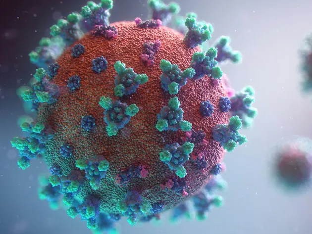 Três novas linhagens do coronavírus identificadas preocupam os cientistas
